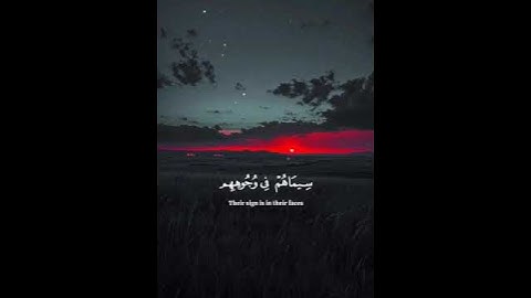 اكتب شيء تؤجر عليه 😴🩶 قران كريم | ياسر الدوسري