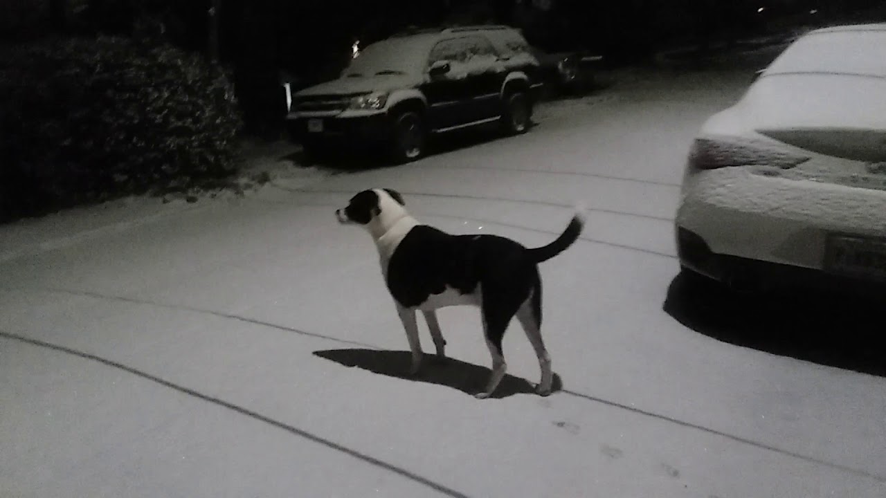 Winter Storm Inga Atlanta Underwood Hills 2018 YouTube