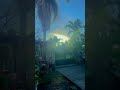 Sunlight