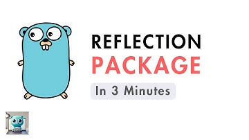Go Reflection in 3 minutes