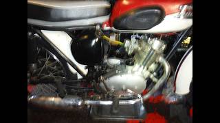 Triumph Tiger Cub T20 project 49 - The morning after, any wet sumping or leaks?