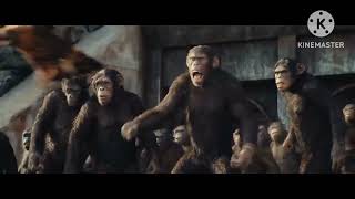 Kingdom of The Planet of The Apes|Official Hindi Trailer | In Cinemas may 2...