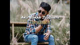 Tri Suaka - Aku Bukan Jodoh nya (lirik video)