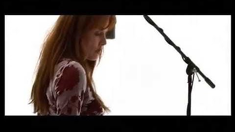 Bird York Have No Fear