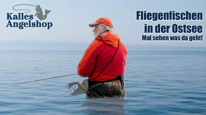 Fliegenfischen in der Ostsee auf Hornhecht - mit m...