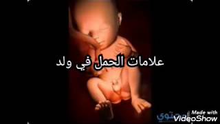 علامات مؤكده للحمل في ولد