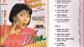 Boleh Boleh Boleh Voc. Dina Mariana ( Disco Dangdut Lawas )