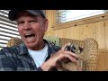 Angry pets compilation funny angry pets of the week  the pet collective