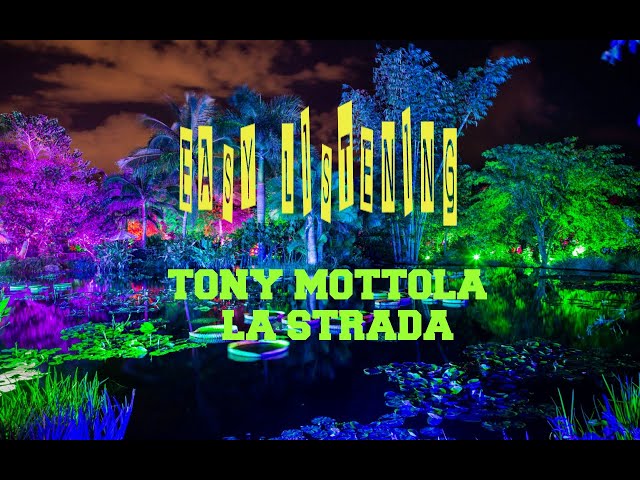 Tony Mottola - La Strada