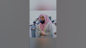 آيات بينات من الذكر الحكيم بصوت جميل حالات واتس اب دينية قصيرة مؤثرة قرآن كريم تلاوة خاشعة انستا