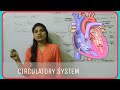 Circulatory System | Biology | Heart परिसंचरण तंत्र | Blood vessels | artery | vein #circulation