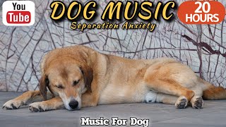 20 HOURS of Dog Calming Music🐶💖Anti Separation Anxiety Relief Music🦮🎵 Music for Dog⭐Healingmate