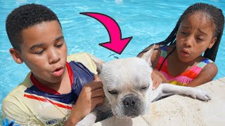 Download Lagu Cali's DOG ALMOST DROWNS, She SAVES HIS LIFE 💔 MP3