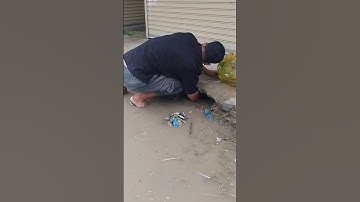 Remove garbage blockage Culvert pipe #shorts #cleaning #unclog #real