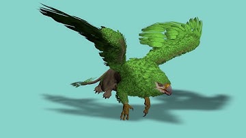 Griffin FREE 3D Models With Animation And rigged In Cinema4D FBX