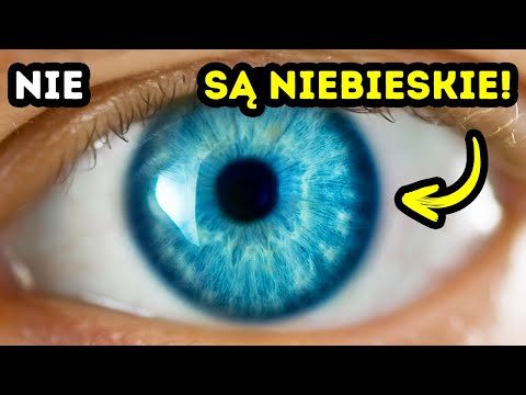 Wideo: Jakie są szanse na posiadanie niebieskich oczu?