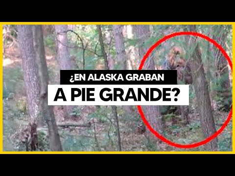 Supuesto Pie Grande en Alaska