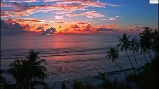 ❌TOP❌ Party Balkania Instrumental