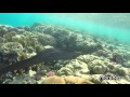 Hilton Marsa Alam Nubian Resort Diving and snorkeling