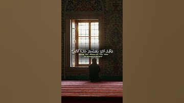 ﴿ أَمَّن يُجِيبُ الْمُضْطَرَّ إِذَا دَعَاهُ ﴾ #ياسر_الدوسري#تلاوة_خاشعة#خشوع#سورة_النمل#quran#قرآن