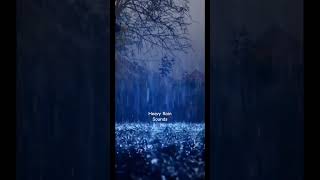 rain rainsoundsforsleeping rainsound rainsounds relaxing subscribe for youtube youtubeshort