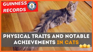 Cat Marvels: TOP 15 Guinness Records Unveiled in Astounding Physical Achievements! by Meow Moments 2 views 4 months ago 5 minutes, 57 seconds