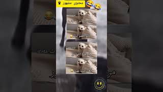 ستوريات انستا فخامة ضحك😂 تصاميم  ستوريات انستا مضحكة😂