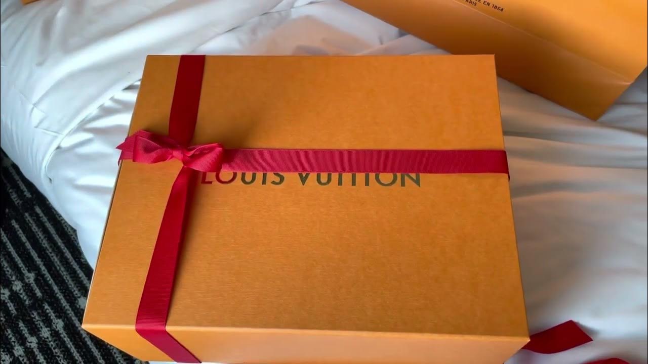 Louis Vuitton LV Academy Loafers Unboxing Plus Entire LV shoes and boots  collection