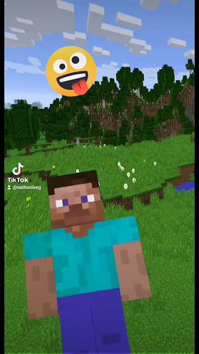 Minecraft adventures: fun & kindness #minecraft