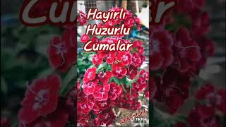 CUMANIZ MÜBAREK OLSUN HAYIRLI CUMALAR 🌹🌹🌹🌹