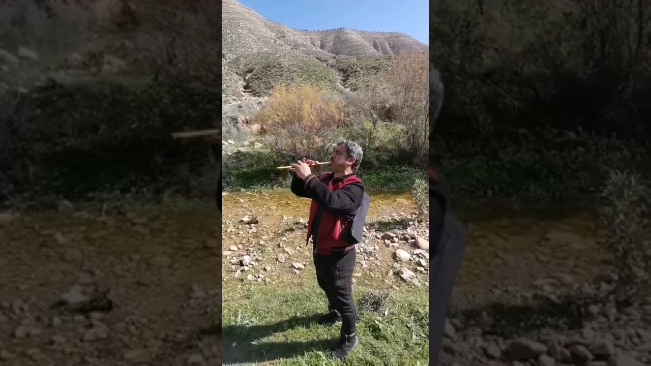 مجوز جولاني مع شاعر المجوز والشبيبه باسل عبود/عزف منفرد مع الطبيعة