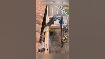 Powerful vacuum cleaner ##❗️❗️