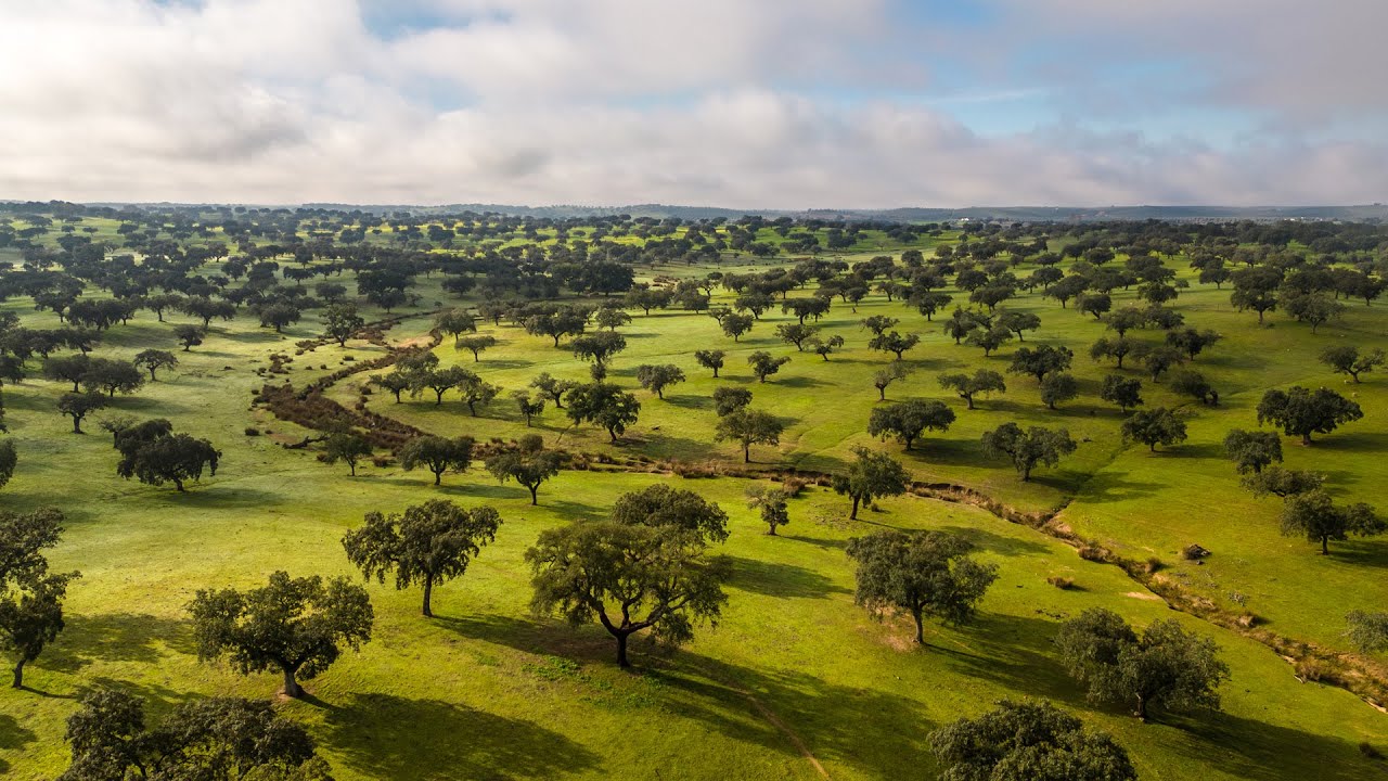 Property In Portugal With 260 Acres In A Peaceful Spot YouTube property-in-portugal-with-260-acres-in-a-peaceful-spot-youtube