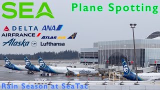 LIVE Seattle Tacoma International Airport (Calm before the BIG Storm)
