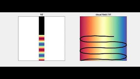 Movie S2. Sinusoidal transform of visual field in V2