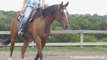 Docs Roulades - riding in outdoor arena #1 - Valley View Ranch