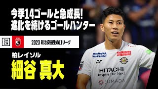 【日本代表｜細谷真大（柏レイソル）プレー集】今季14ゴールと急成長！A代表でも活躍が期待される“パリ世代”の若きゴールハンター！｜2023明治安田生命J1リーグ