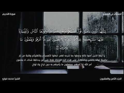 تلاوة جميلة للشيخ محمد فوزي