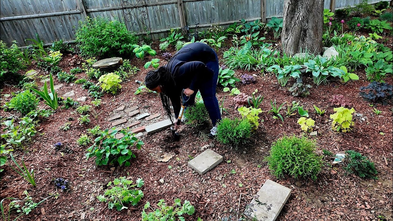 9 Shrubs| Extended Pathway| Perennials| Mulch| It Was A Good Day 🙌🏽‼️🙌🏽 ...