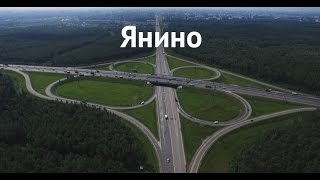 Янино