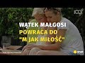 W m jak mio powrci wtek magosi  onet100