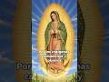 Día 33 | 46 Rosarios en Honor a la Virgen de Guadalupe | Por los indígenas, campesinos y obreros