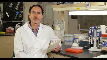 Comical Videos for SureVector - Winery