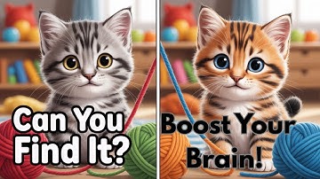 Only 1 Percent Can Find Every Difference In These Pictures!