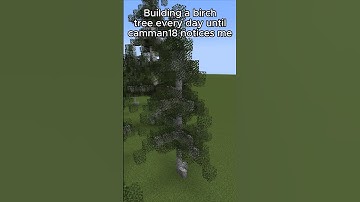 Building a birch tree every day until @camman18 notices me (Day 44)