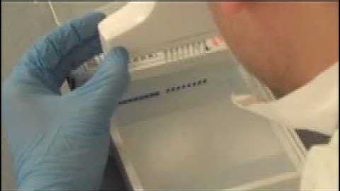 Gel Loading With a VOYAGER Electronic Pipette