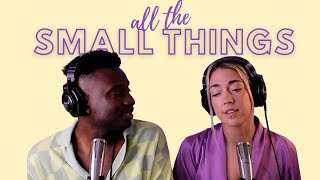 Video thumbnail of "All The Small Things - Blink-182 | Ni/Co Acoustic Cover"