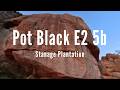 360° Pot Black E2 5b - Stanage Plantation