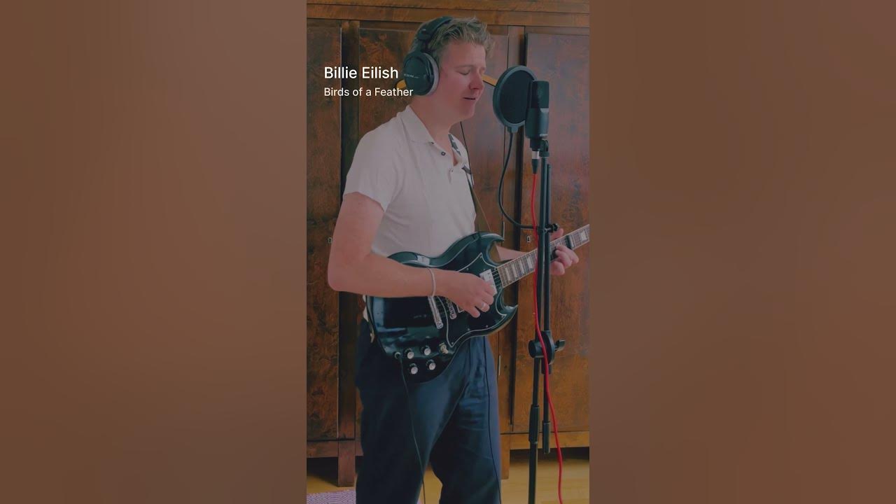 Billie Eilish - Birds of a Feather (Cover) #cover #billieeilish #birdsofafeather #billieeilishcover