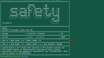 PyUp Safety on an air-gapped system